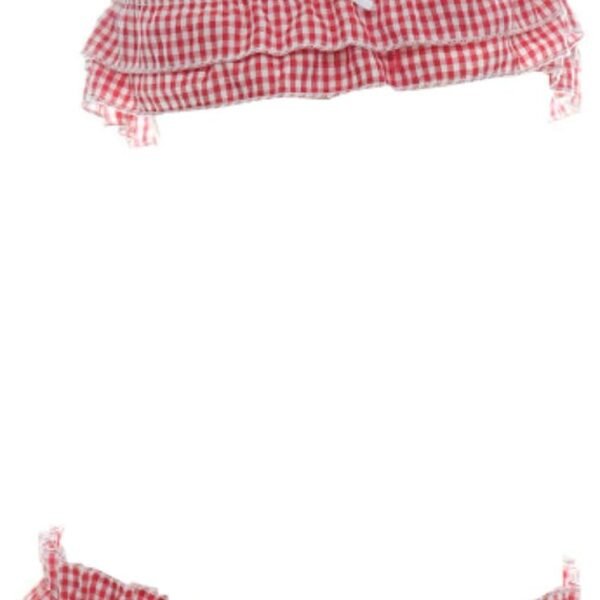 Women's Cute Sexy Japanese JK Anime  Lingerie Set Sexy Ruffle Plaid Crop Top and Panty Red